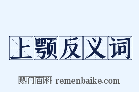 上颚反义词是什么意思的图片